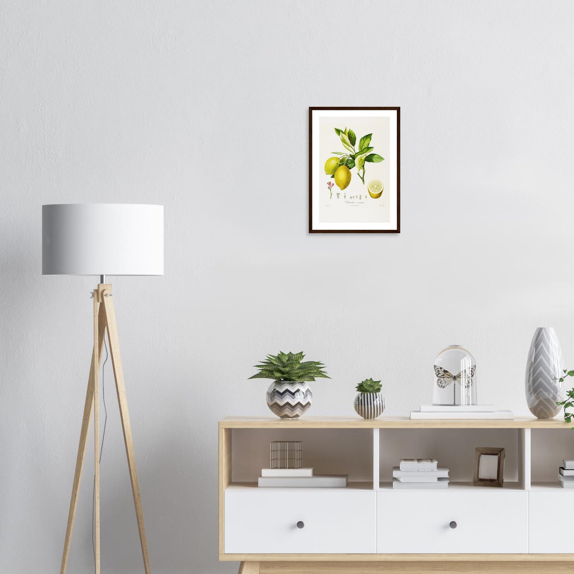 b03e4c20-ba36-4296-8adf-2536b4524ffb