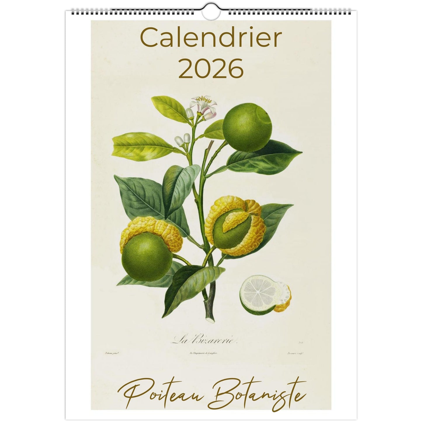 calendrier 2026 botanique fruit de saison