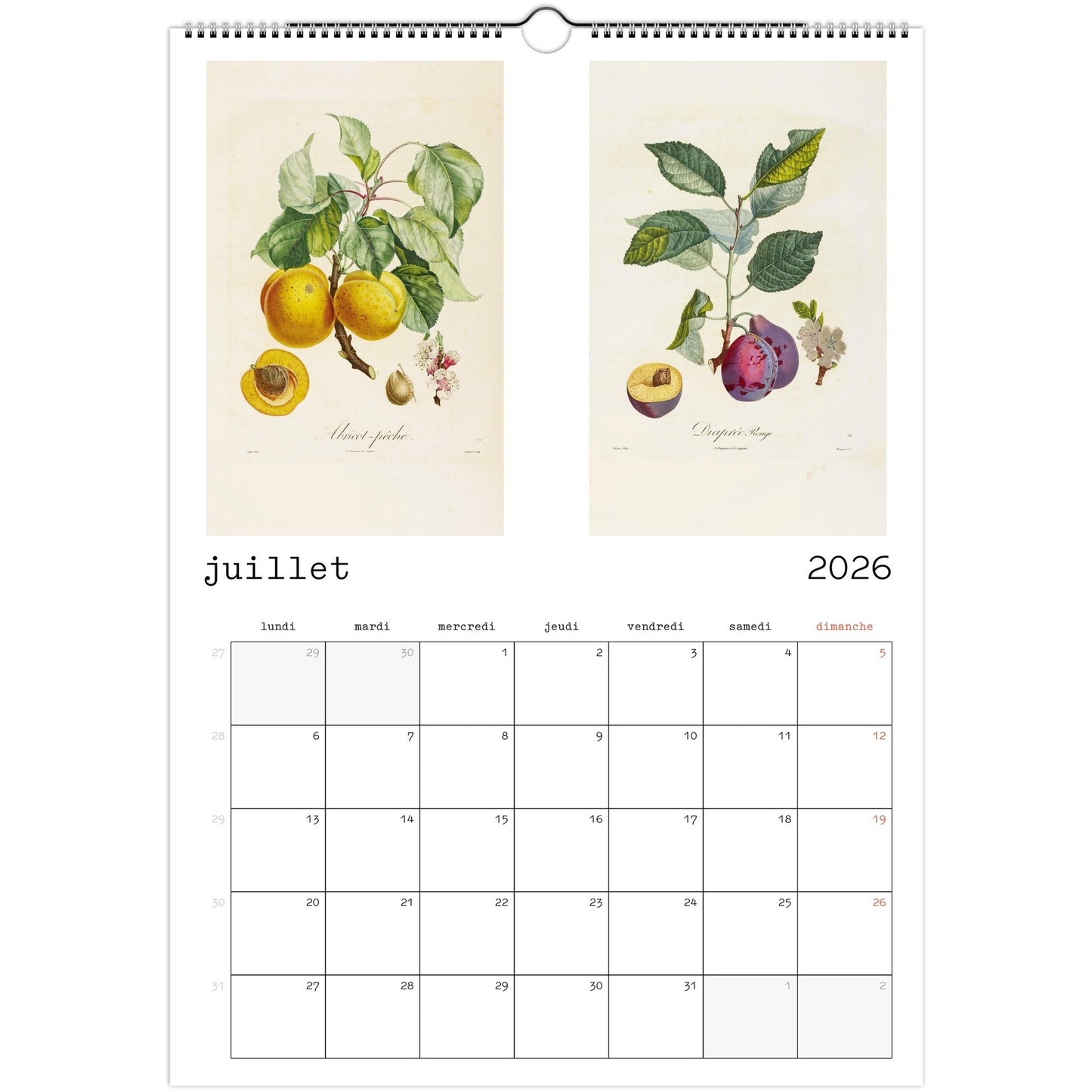 de188c3a-7a57-43dc-ada0-961e5ab36e57