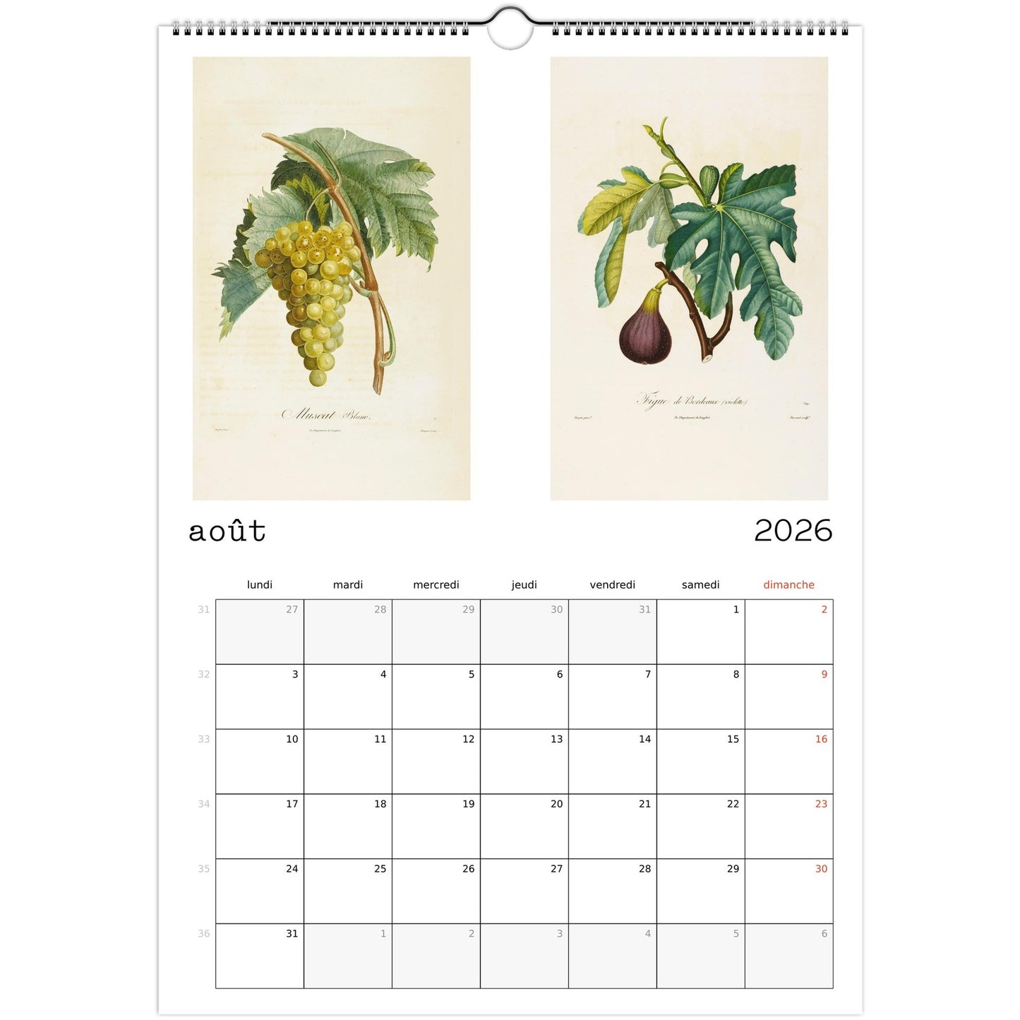 e43cdb5e-3b97-4807-9c24-7134aec116a9