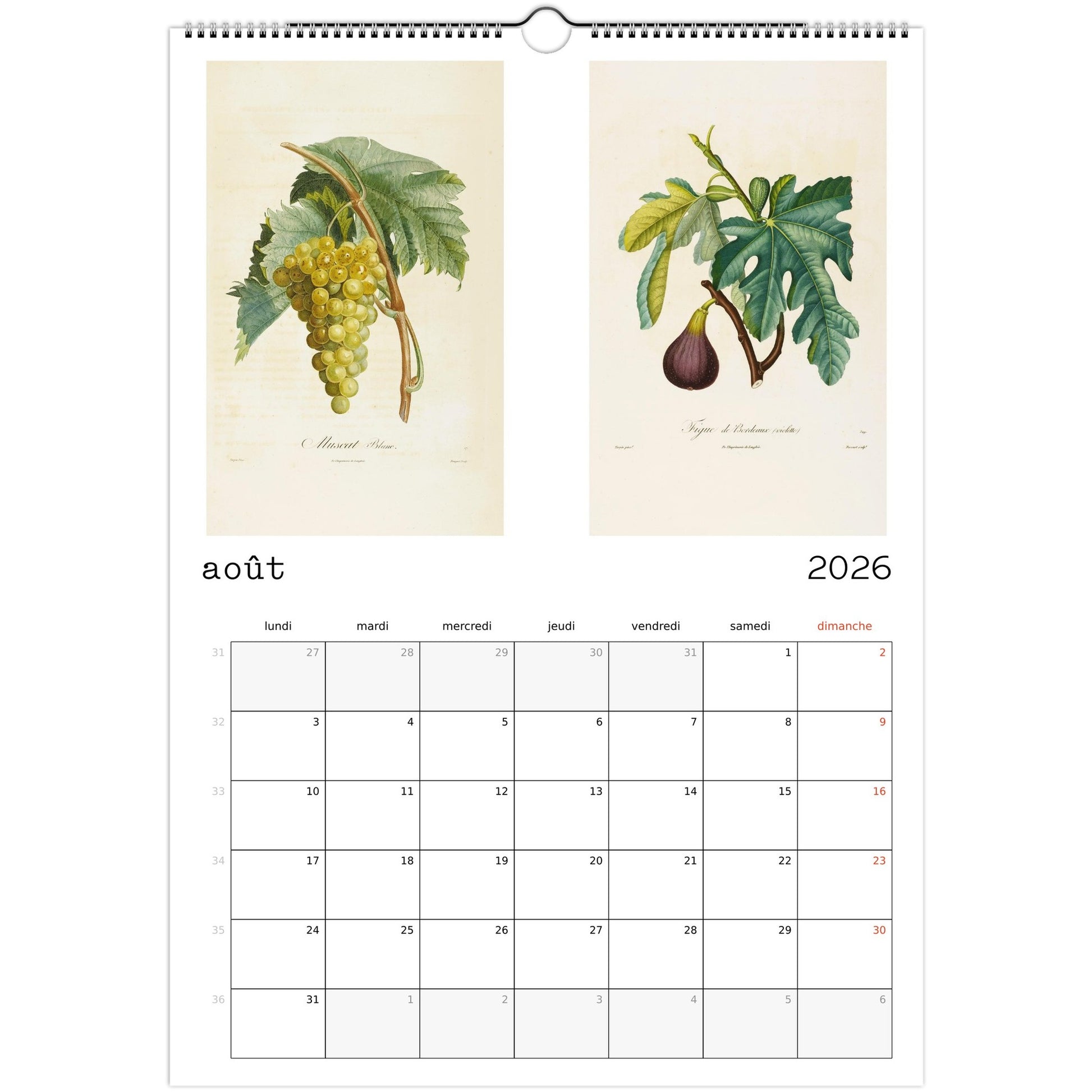 e43cdb5e-3b97-4807-9c24-7134aec116a9