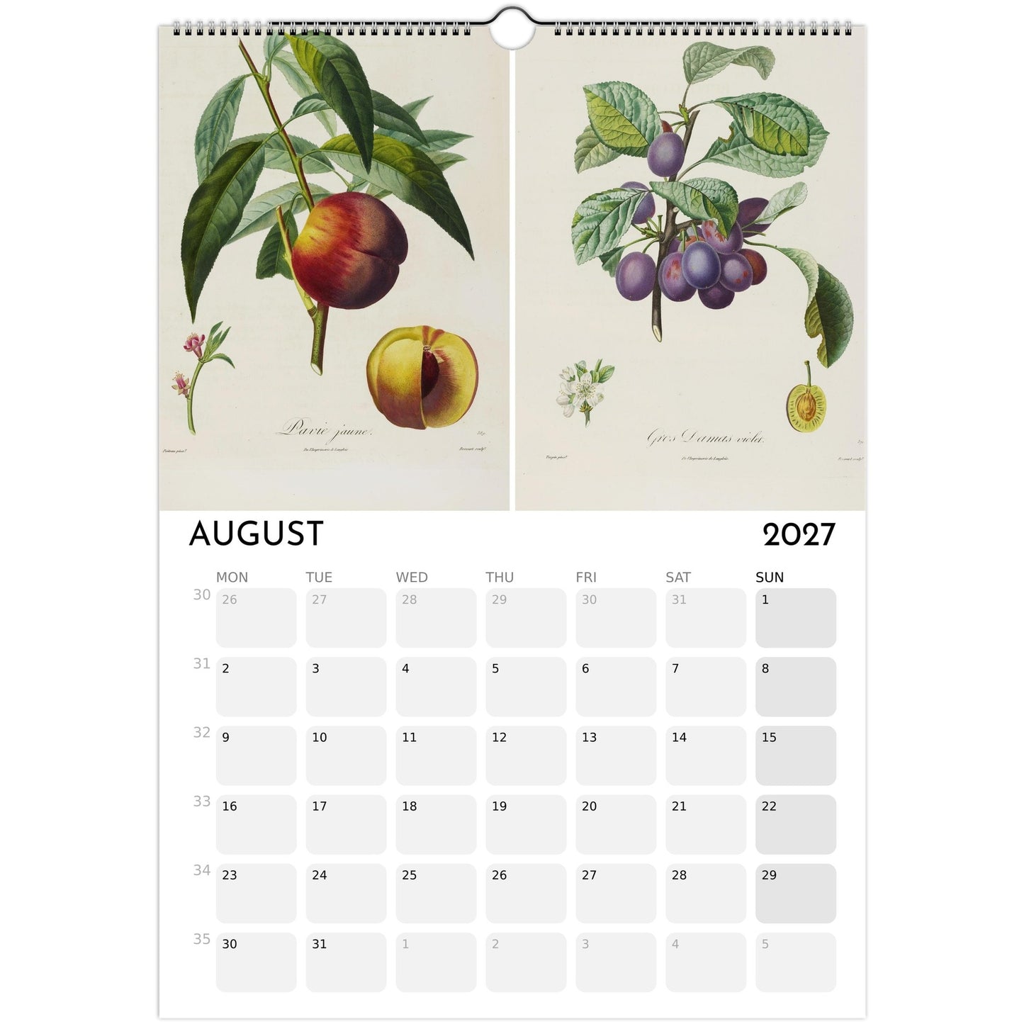 Botanical Fruit Calendar 2027 - August